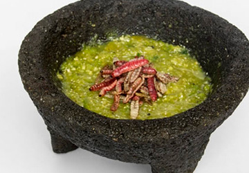 Salsa de chinicuil